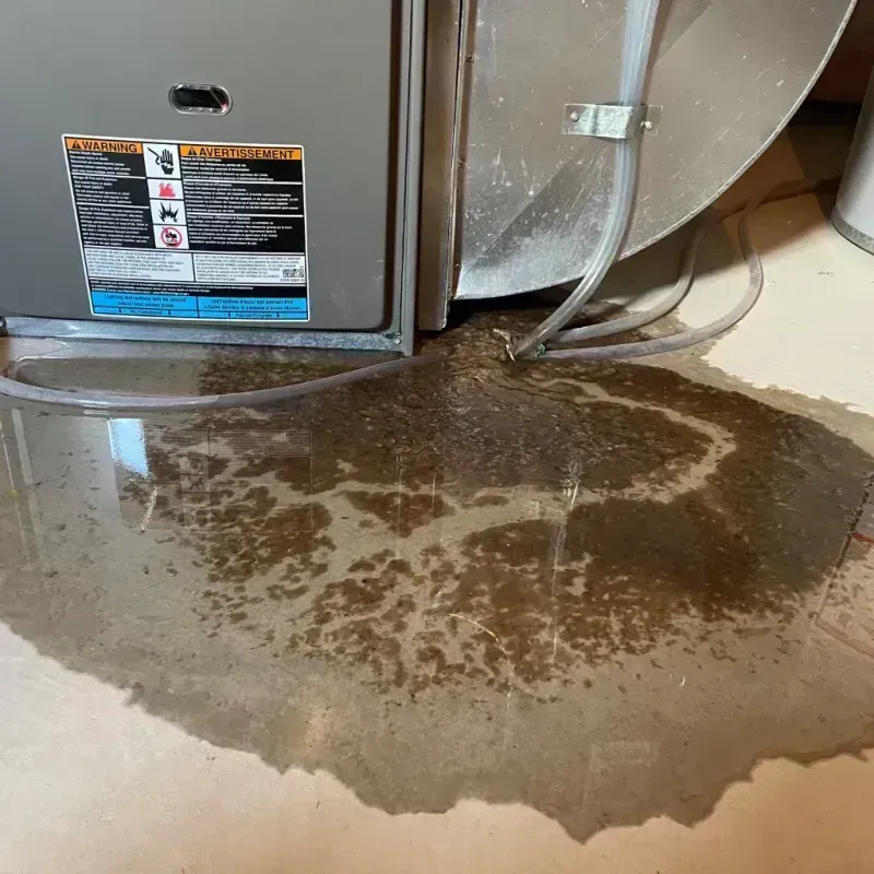 Appliance Leak Cleanup in Zumbrota, MN